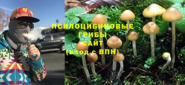 прущая мука Мегион