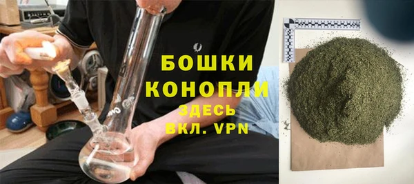 стаф Майский