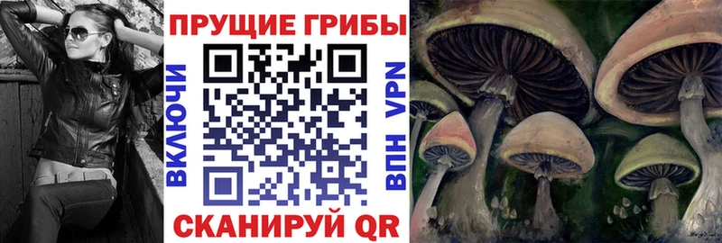 blacksprut рабочий сайт  Нерчинск  Псилоцибиновые грибы мухоморы 